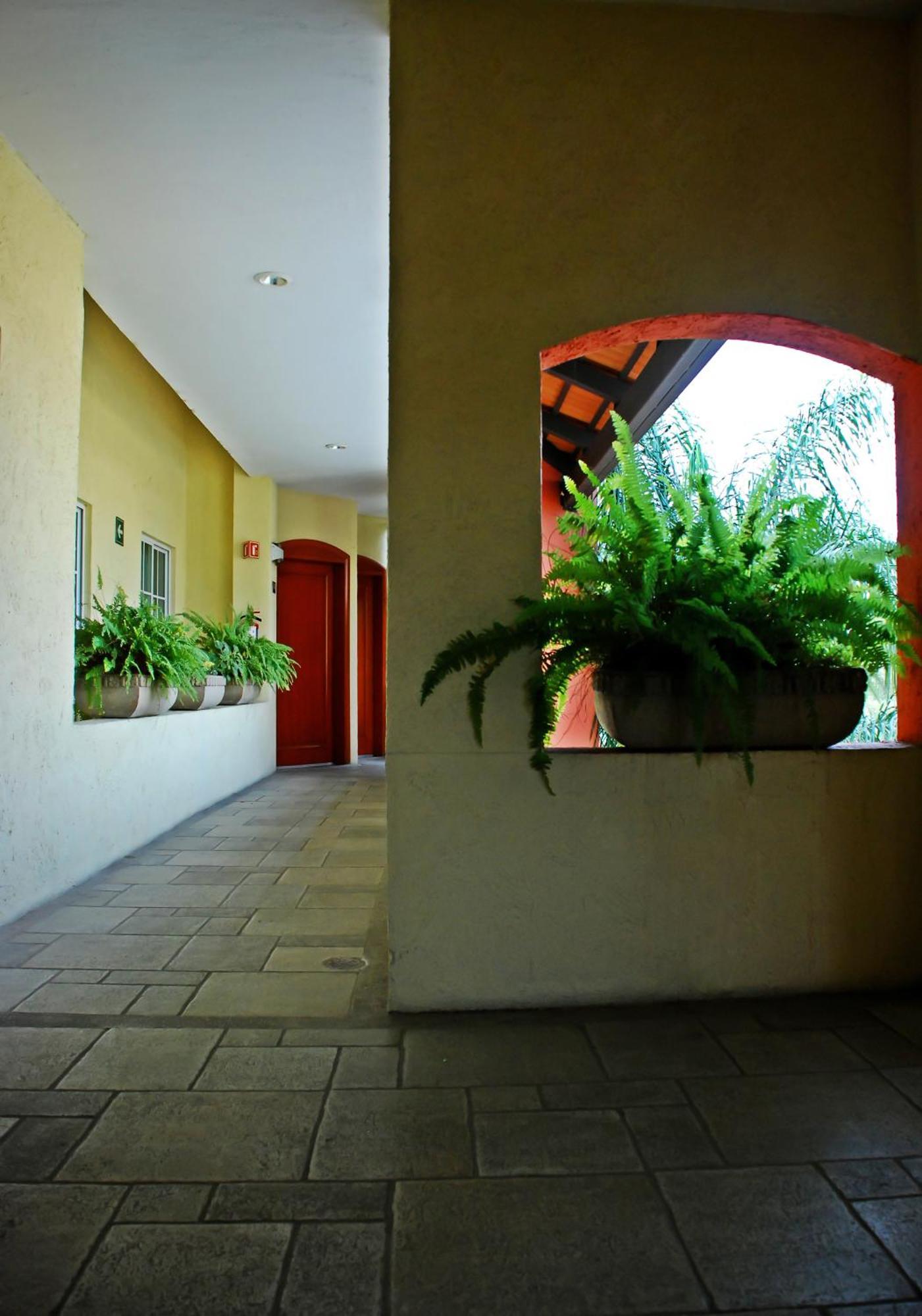 Aurea Hotel And Suites Zapopan Buitenkant foto